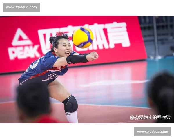 以前场自由人为核心构建现代排球攻防协同新体系研究与发展路径探索 以前场自由人为核心构建现代排球攻防协同新体系研究与发展路径探索